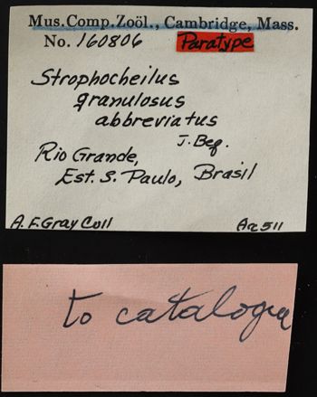 Media type: image;   Malacology 89661 Description: Image of specimen labels. Photographed for a researcher request.;  Aspect: Labels